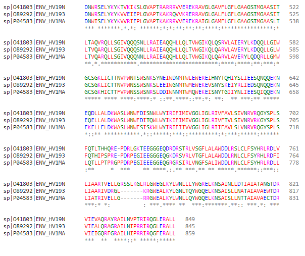 _images/G5ColorizedMSA2.jpeg